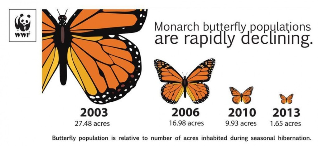 monarch decline